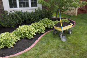 Mulch is one way a landscaping company might try to cut corners.