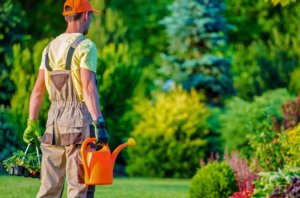 It's important to choose the right landscaping company to work on your lawn.