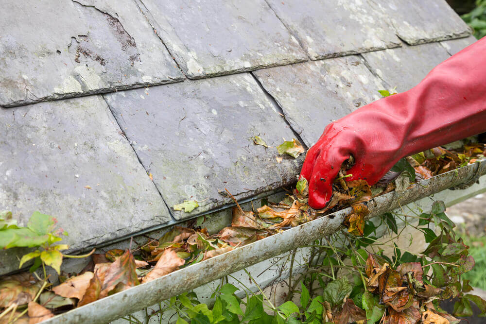 Cleaning your gutters can help you avoid flooding.