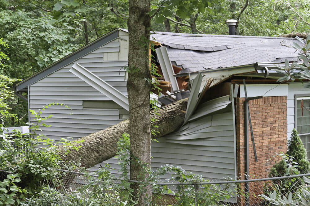 If a tree falls on your house, your home insurance will most likely cover you.