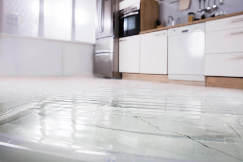 Water damage from a sudden, accidental loss will most likely be covered.